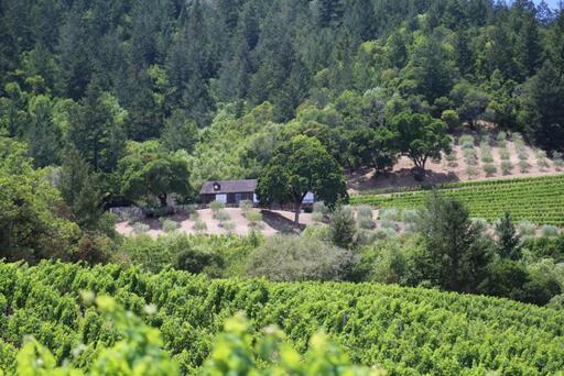 BOND Wine Image
