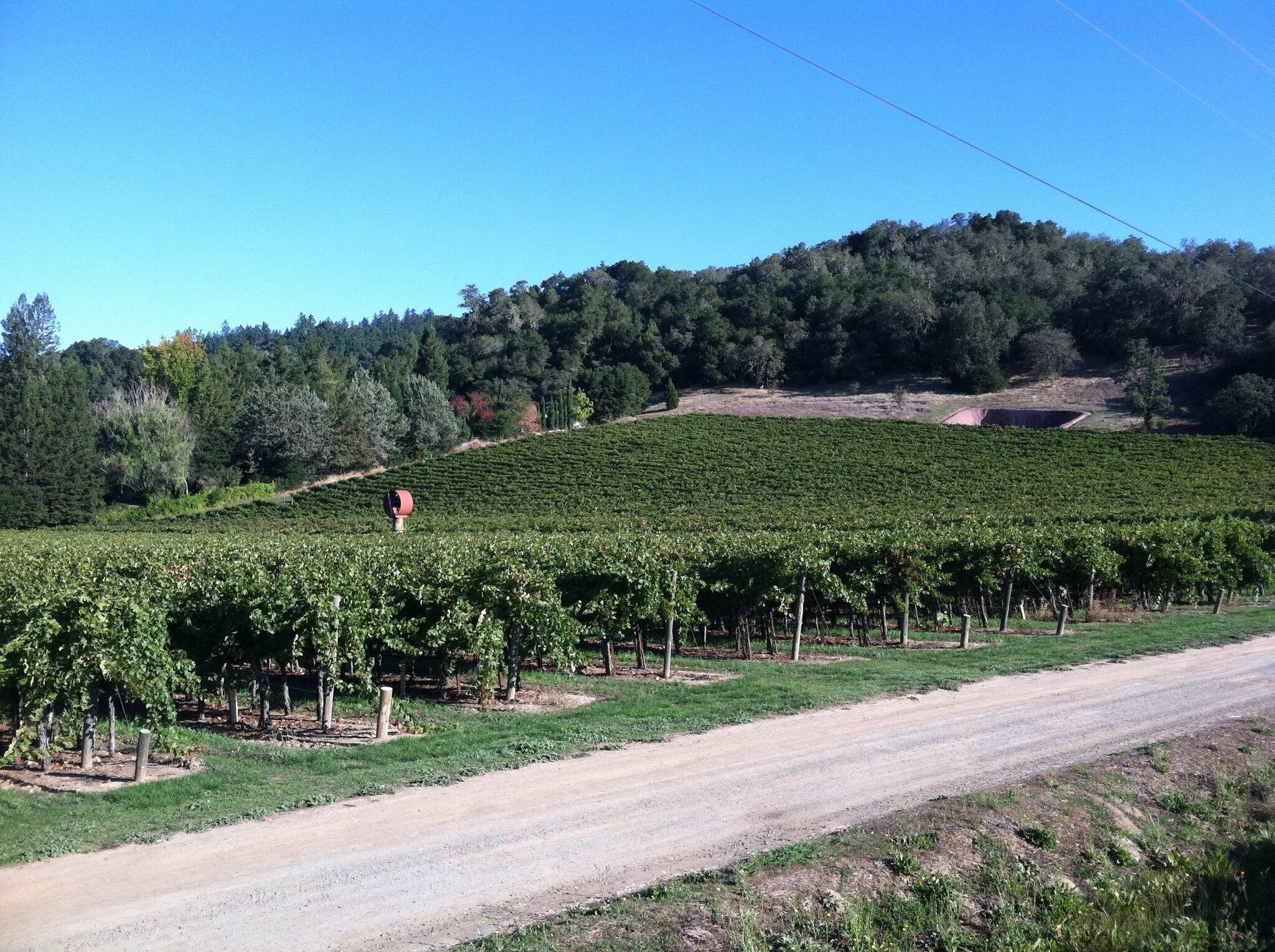 Anderson's Conn Valley Vineyards Cover Image