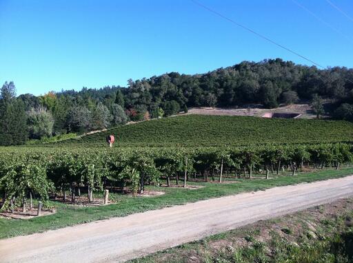 Anderson's Conn Valley Vineyards Image