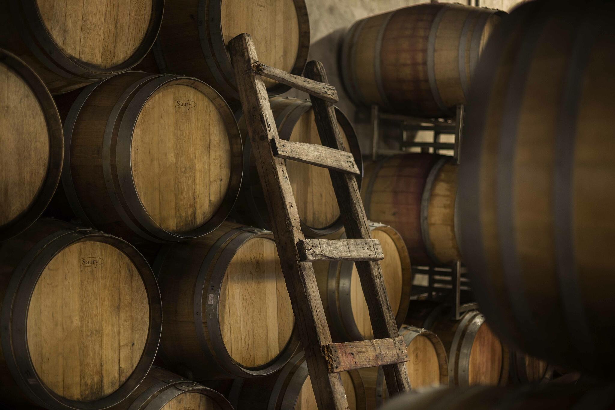 Zorzal Wines Cover Image