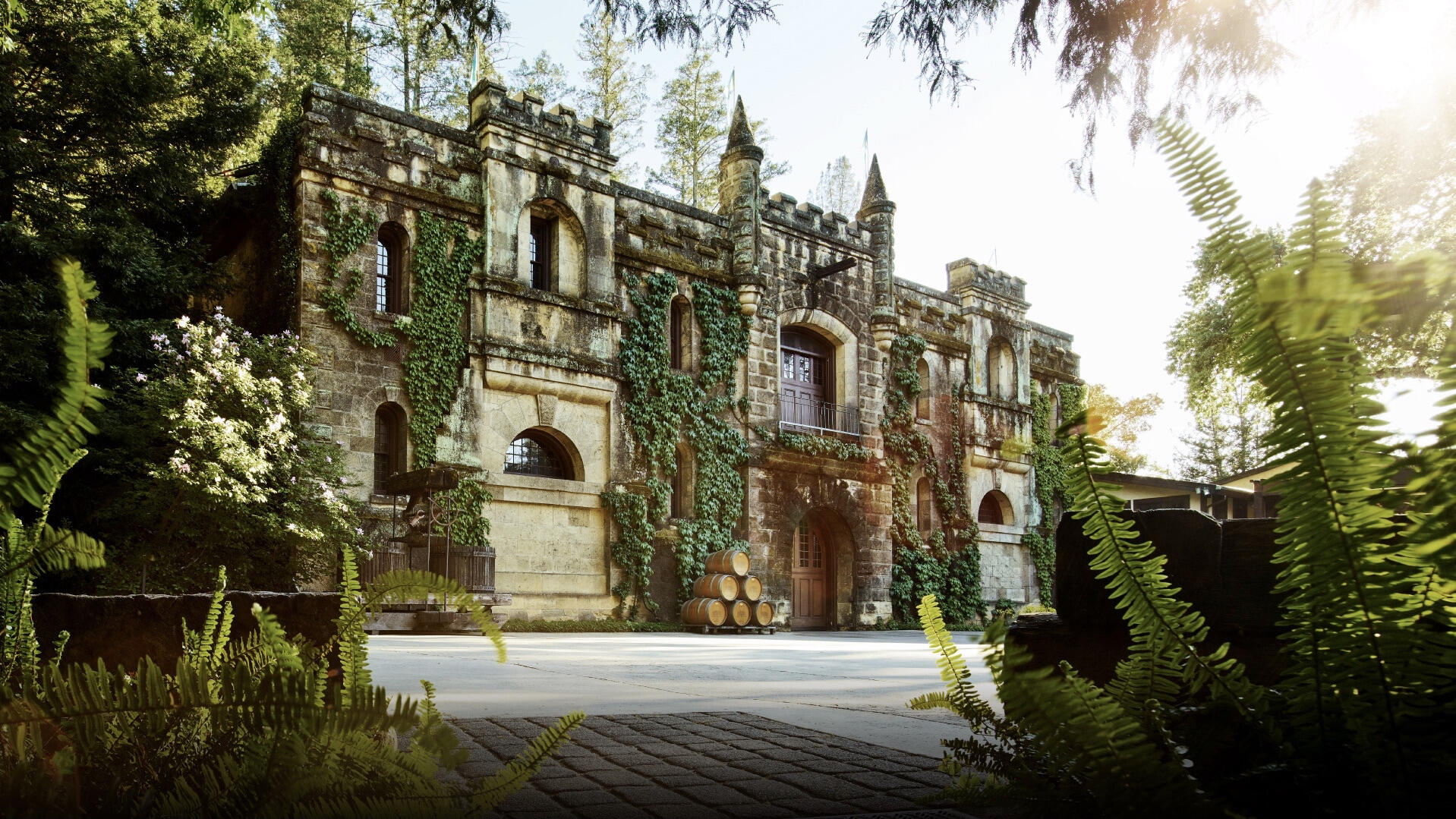 Chateau Montelena Cover Image