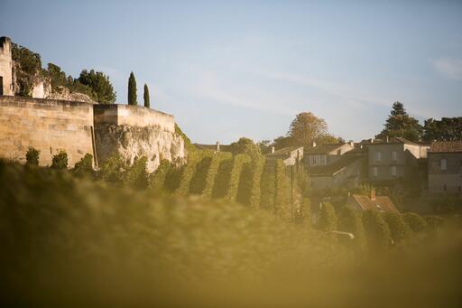 Château Ausone Image