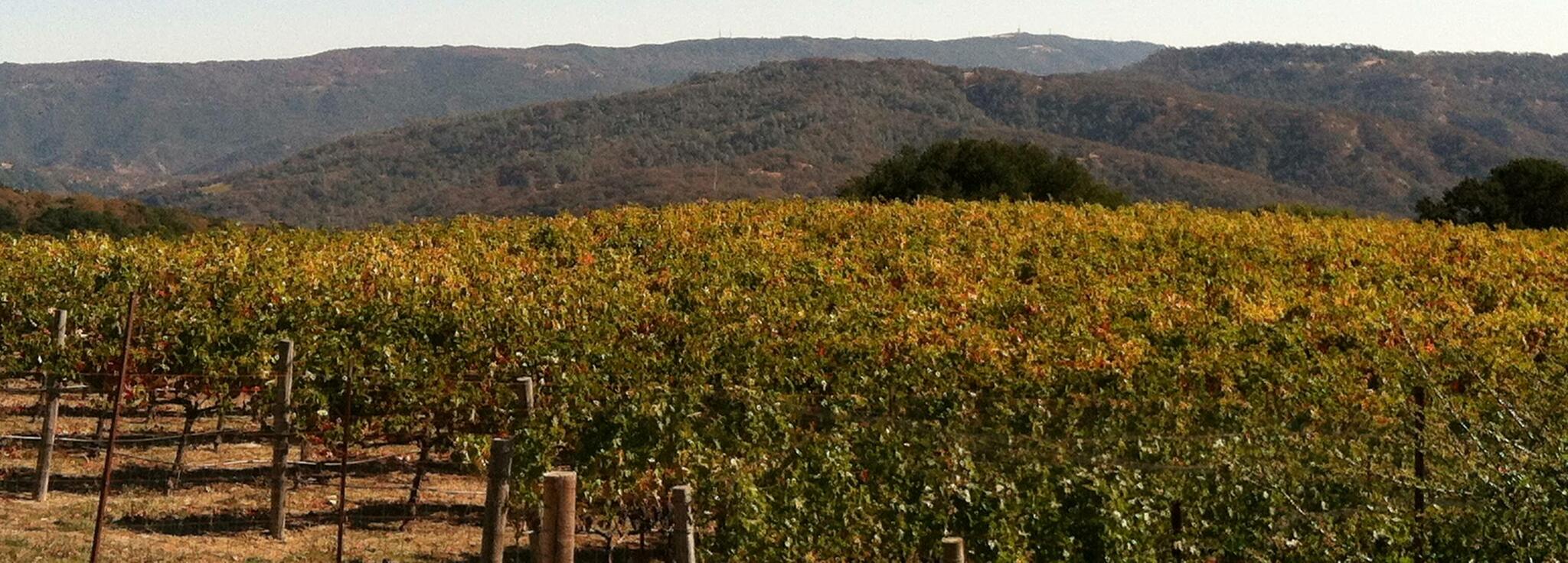 Alta Napa Valley Cover Image