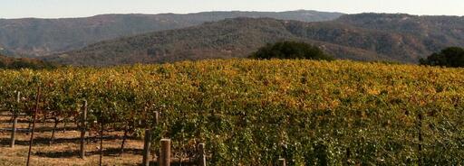 Alta Napa Valley Image