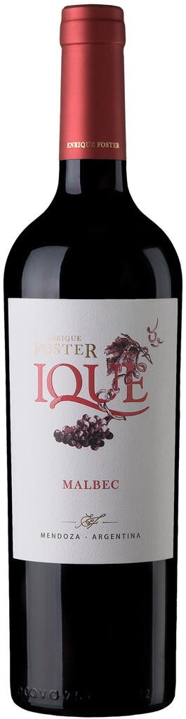 Bodega Foster Lorca Enrique Foster Ique Malbec Bottle Preview