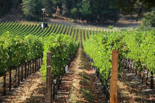 Aloft Wine Image