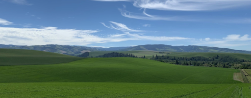 Echolands Winery Image