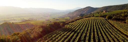 Mark Herold Wines Image