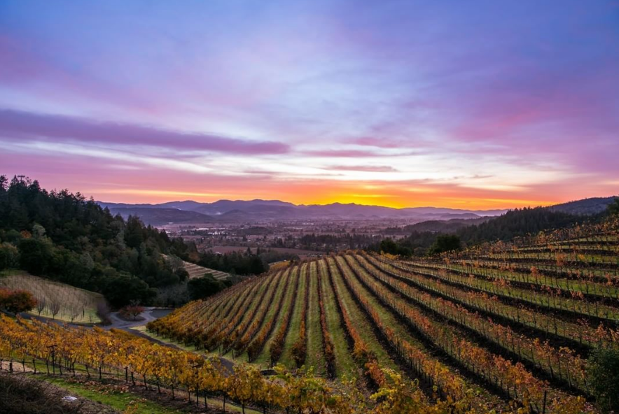 Blackbird Vineyards Cover Image