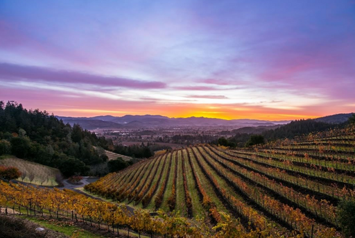 Blackbird Vineyards Image