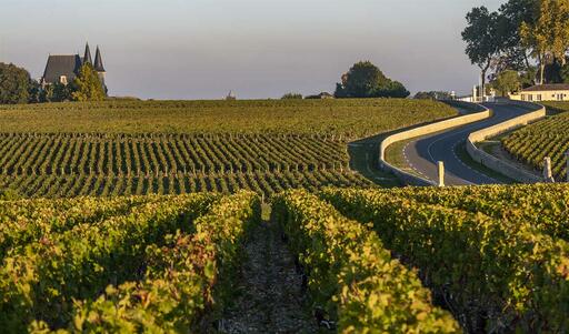 Château Rollin Image