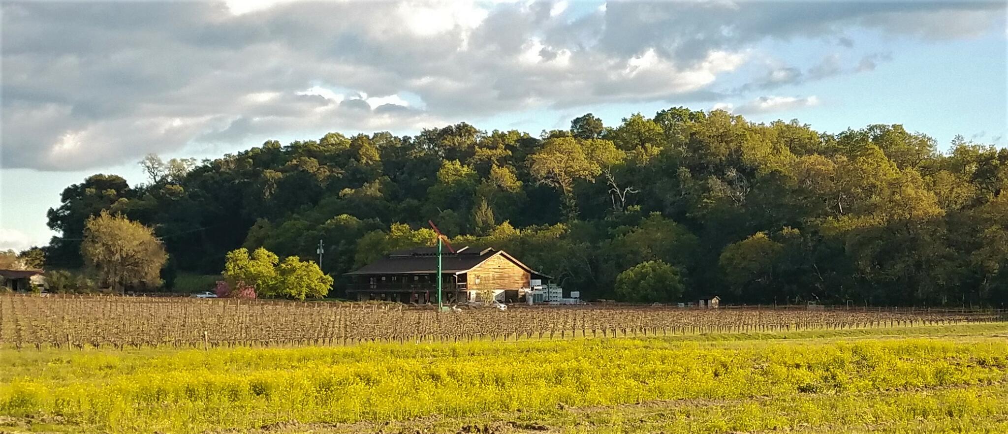 William Harrison Vineyards & Winery Cover Image