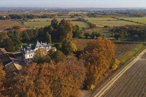 Château Maucamps Image