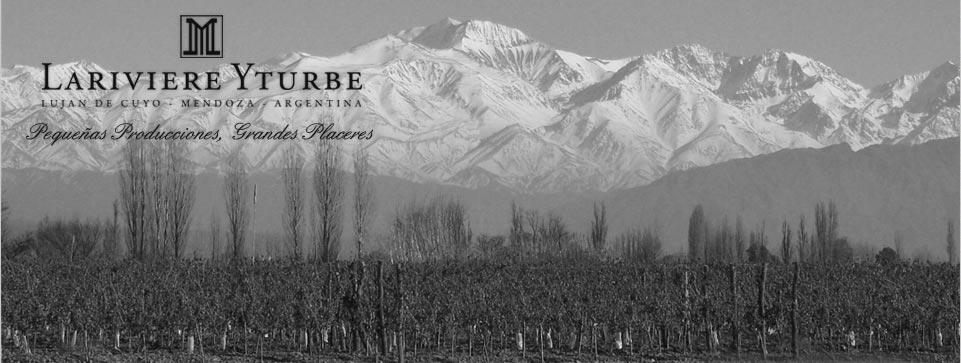 Lariviere Yturbe Cover Image