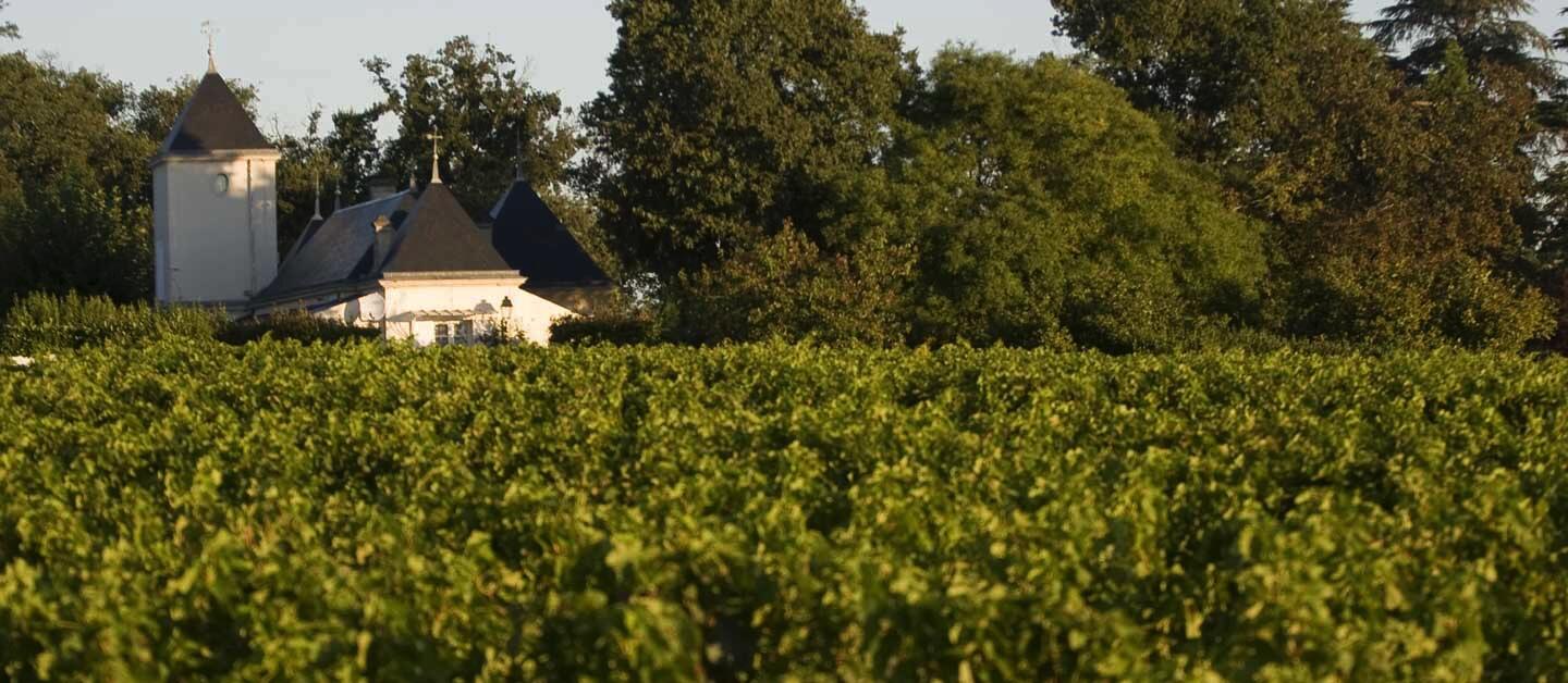 Château de Haut Coulon Cover Image