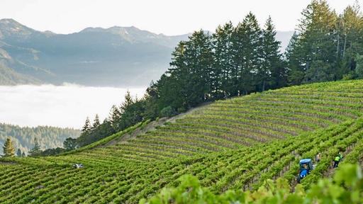Sterling Vineyards Image