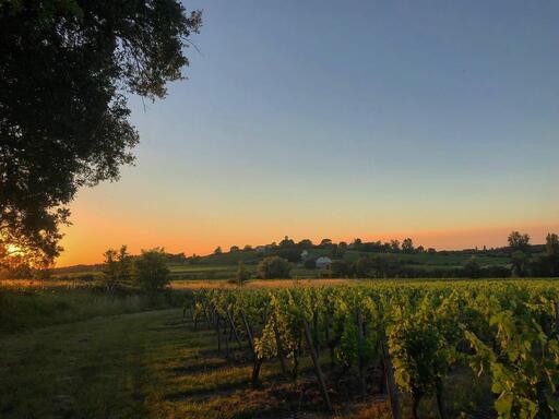 Château Laulan Image