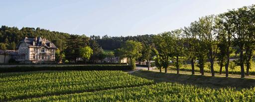 Domaine de Baronarques Image