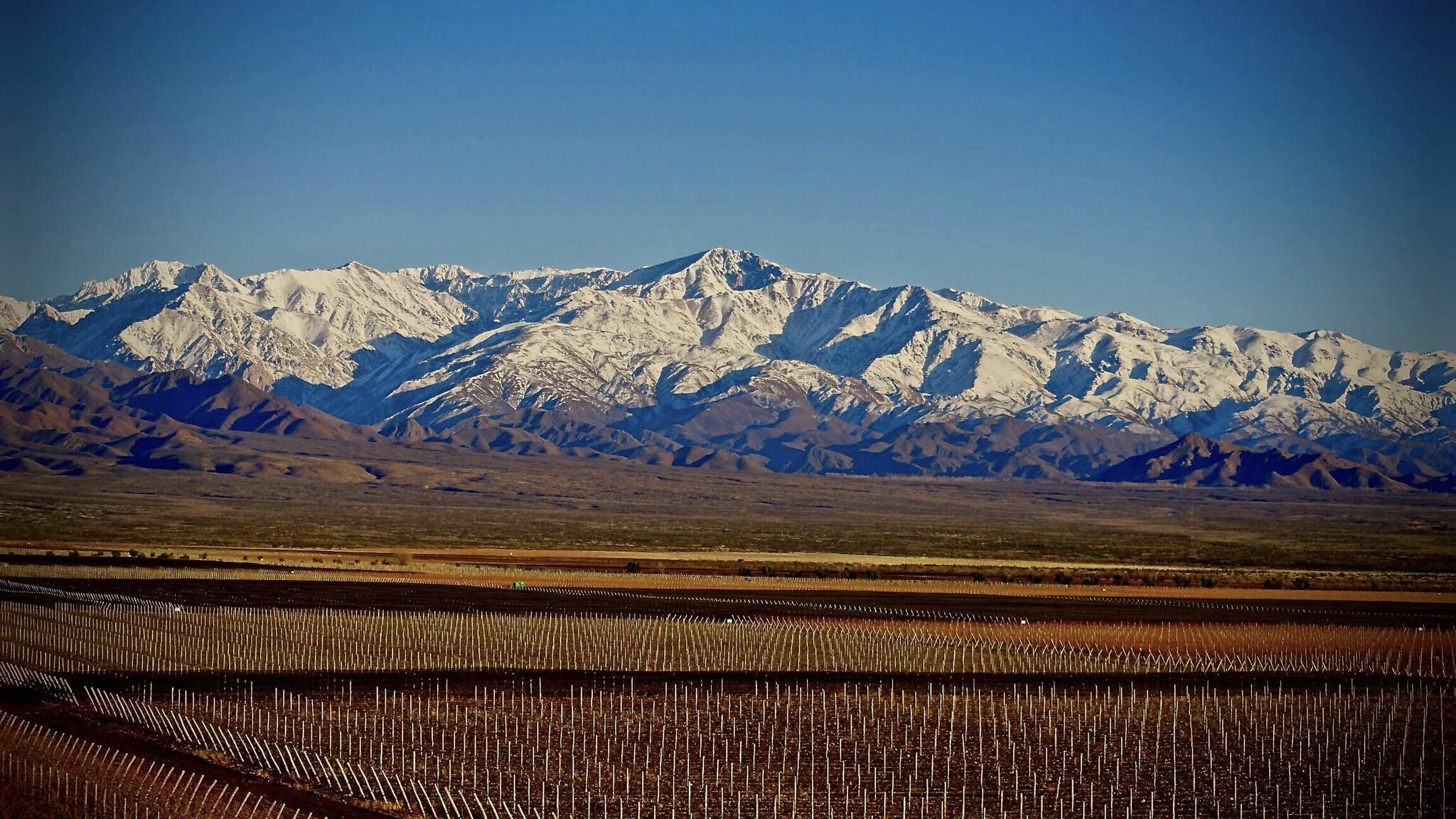 Marcelo Pelleriti Wines Cover Image