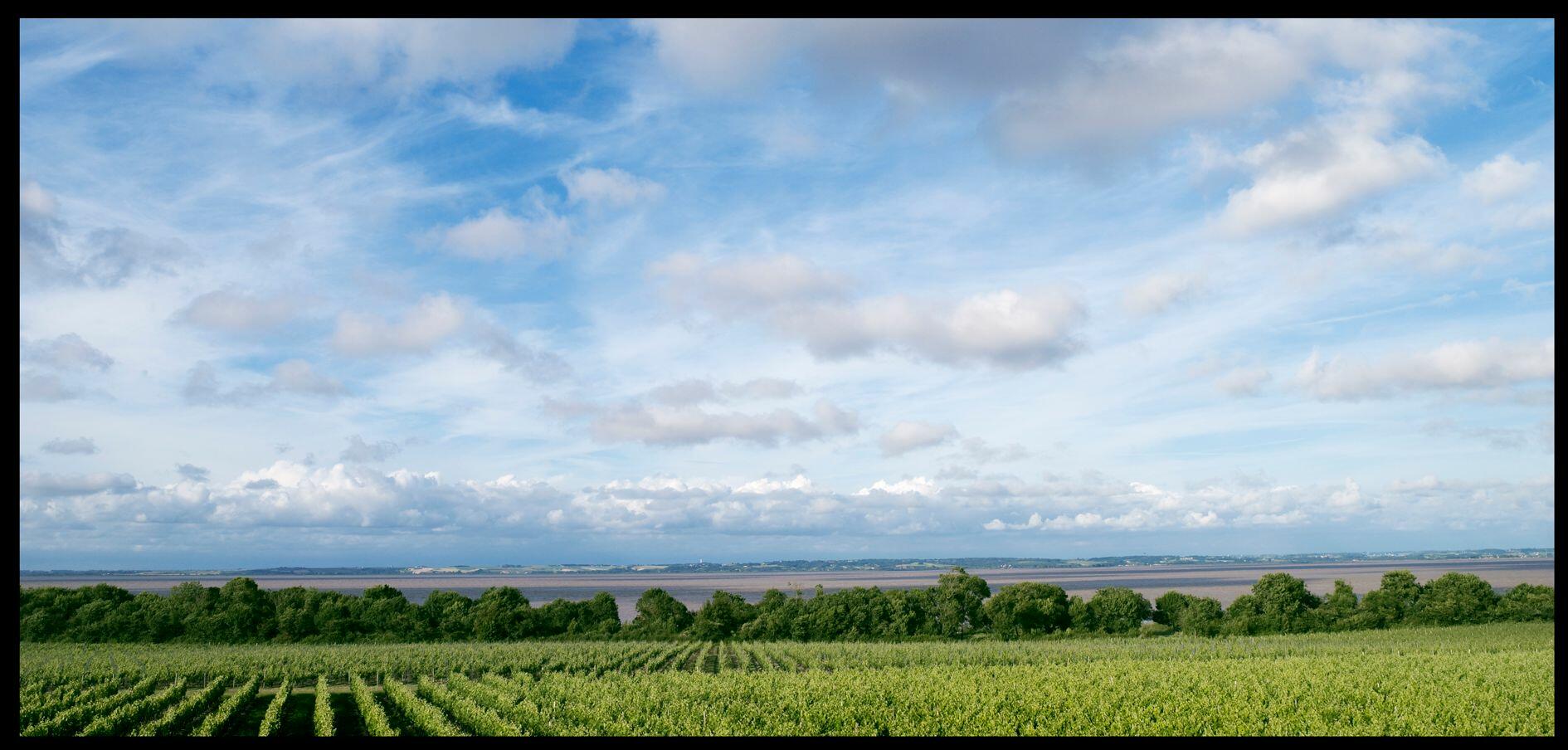Château Mazails Cover Image