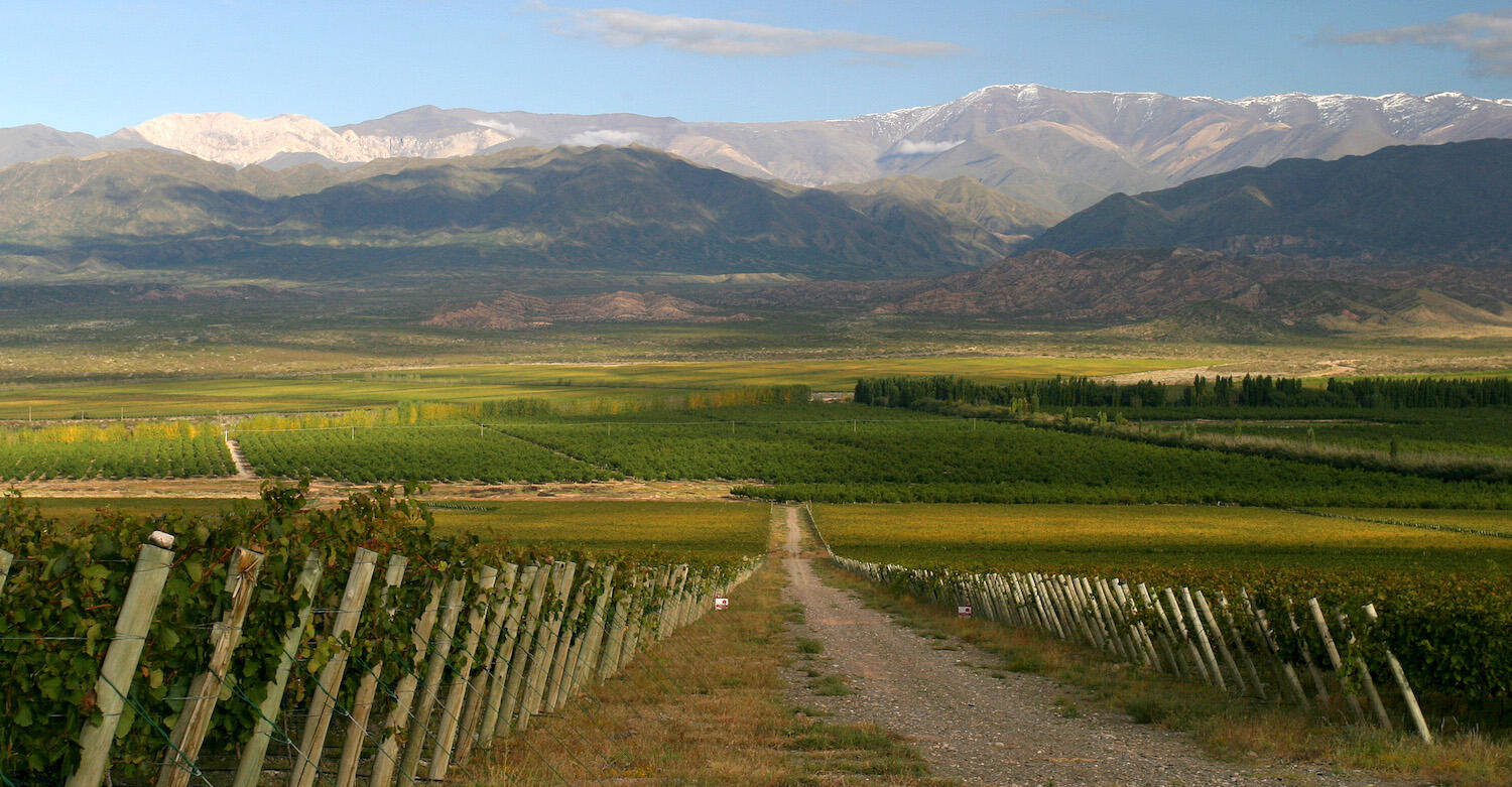Finca las Moras Cover Image