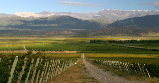 Finca las Moras Image