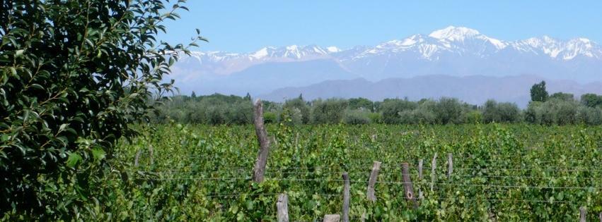 Bodega Cielo y Tierra Cover Image