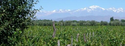 Bodega Cielo y Tierra Image