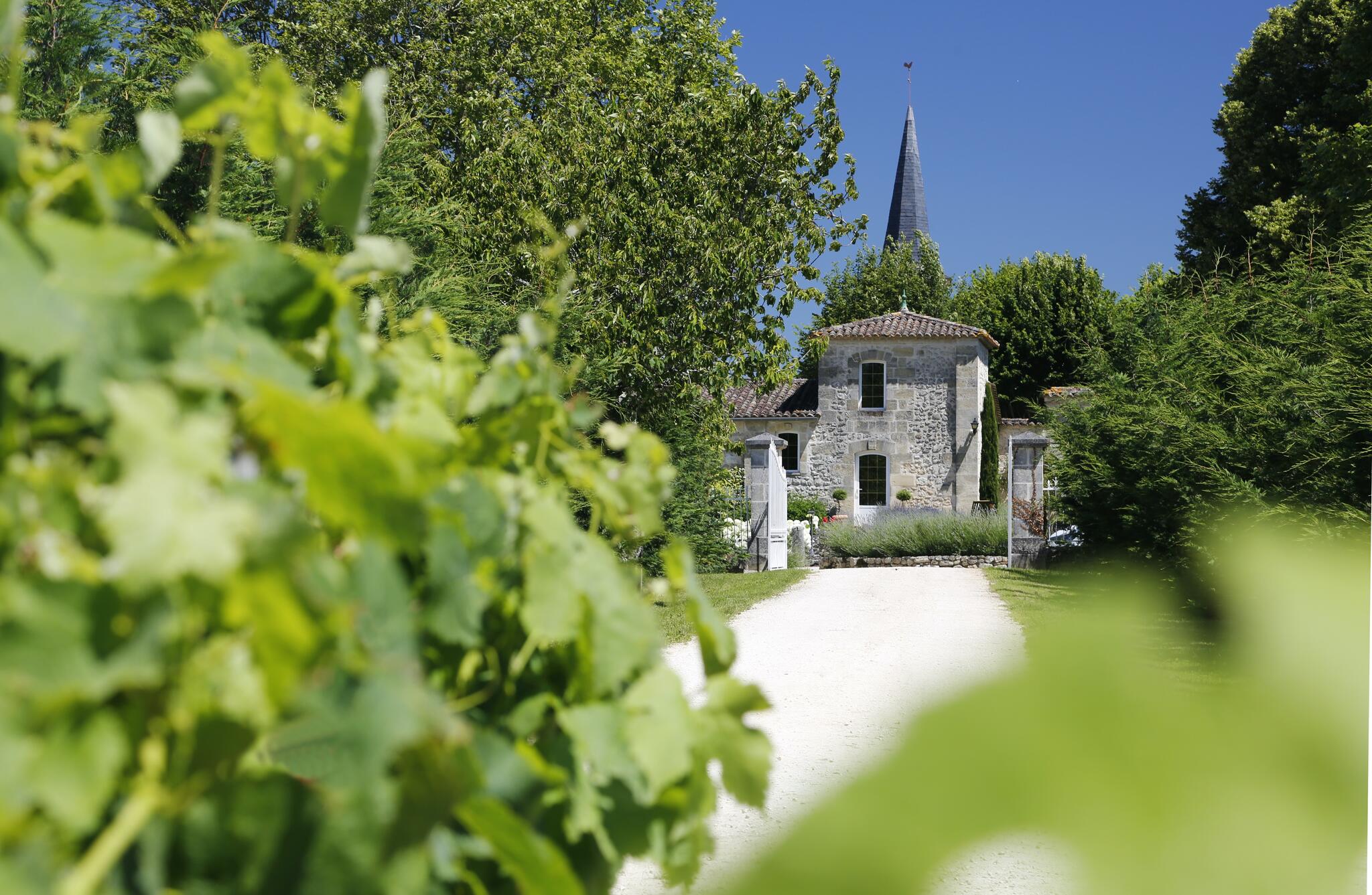 Château Claud-Bellevue Cover Image