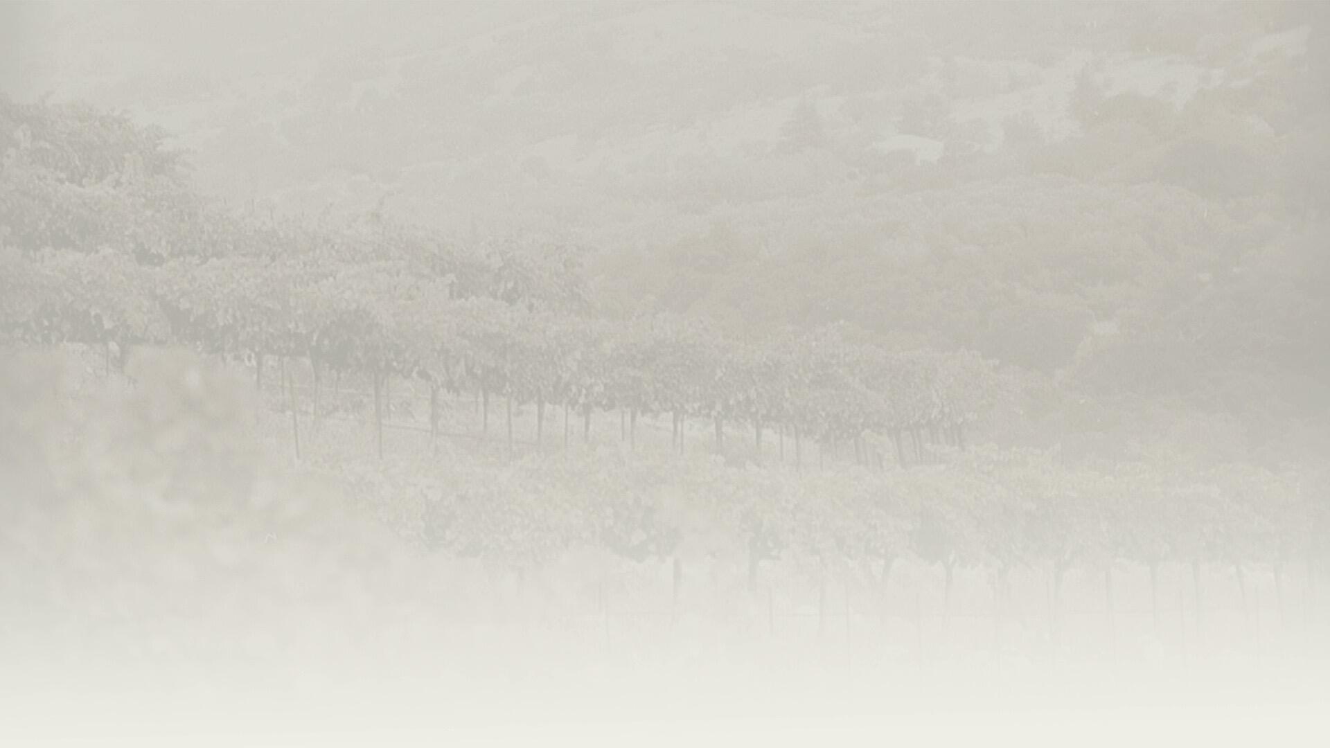 Page Wine Cellars Cover Image