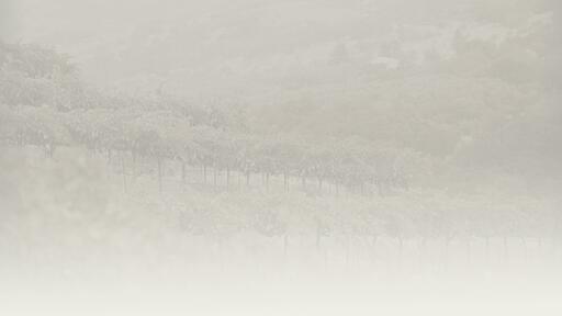 Page Wine Cellars Image