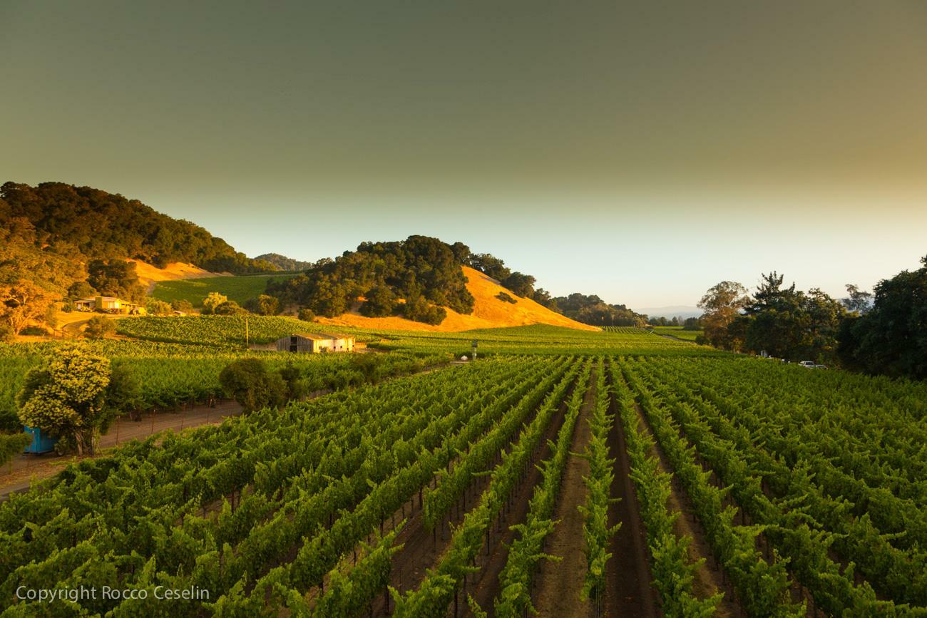 Darms Lane Winery Cover Image