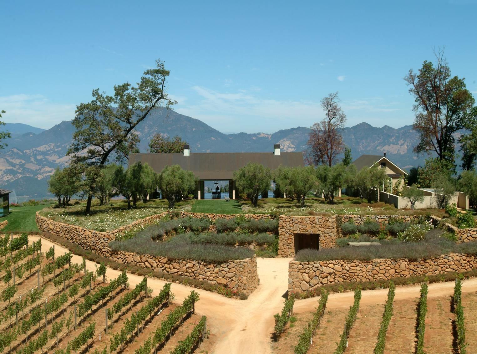 Constant Diamond Mountain Vineyard Cover Image