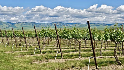 Trust Cellars Image