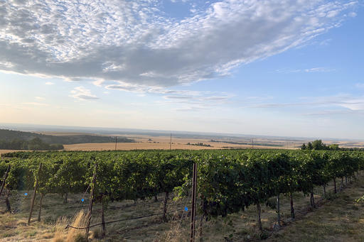 itä wines Image