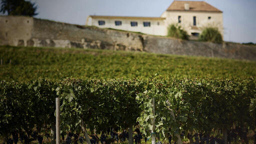 Château Pavie Decesse Image
