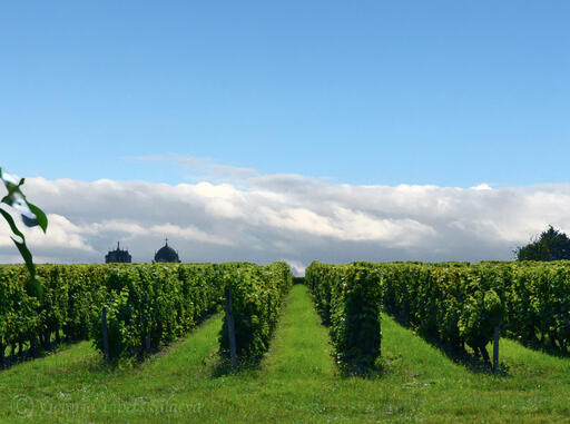 Château Chantemerle Image