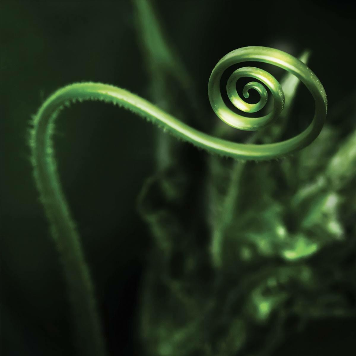 La Passion des Terroirs Cover Image
