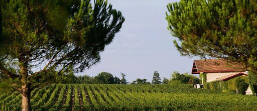 Château Malartic-Lagravière Image