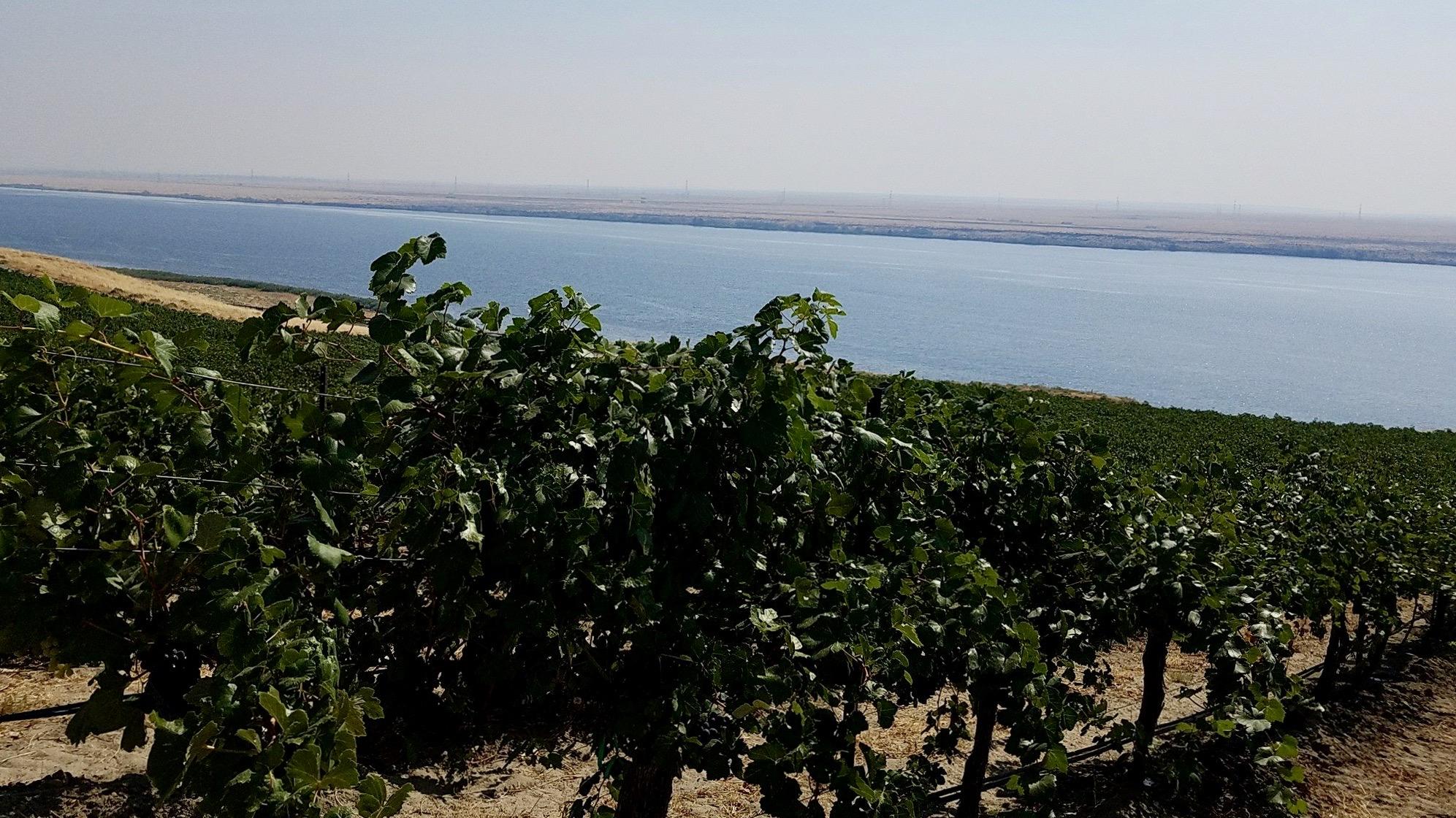 CAVU Cellars Cover Image