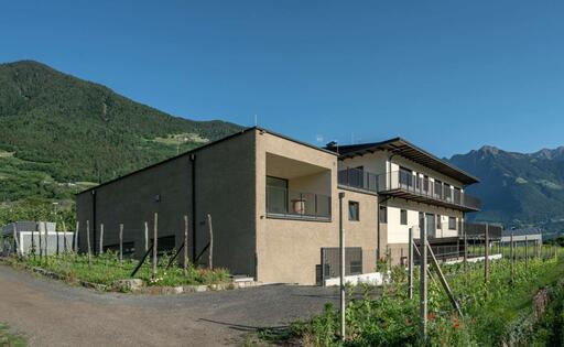 Mauslocher Image