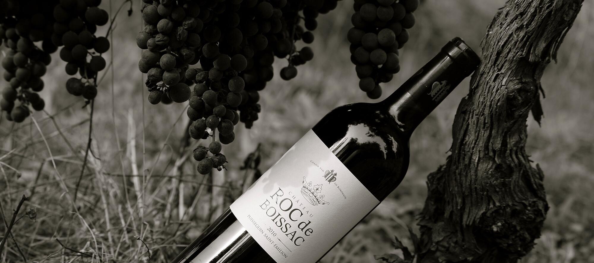 Château Roc de Boissac Cover Image