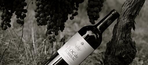 Château Roc de Boissac Image