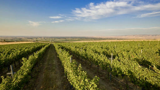 Gramercy Cellars Image