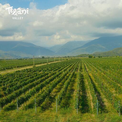 Teliani Valley Image