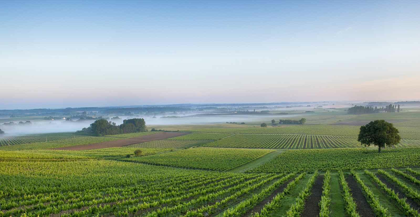 Château Roquefort Cover Image