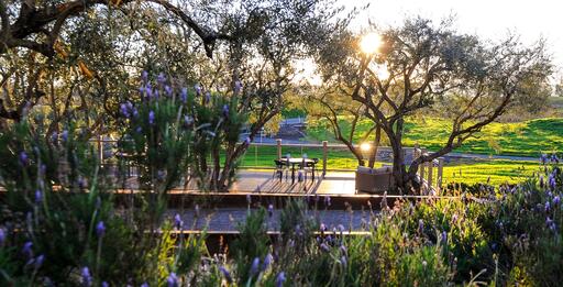 Calmere Estate Winery Image