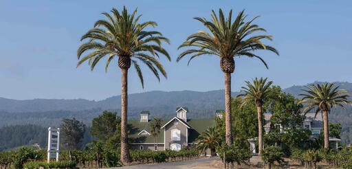 Corison Winery Image