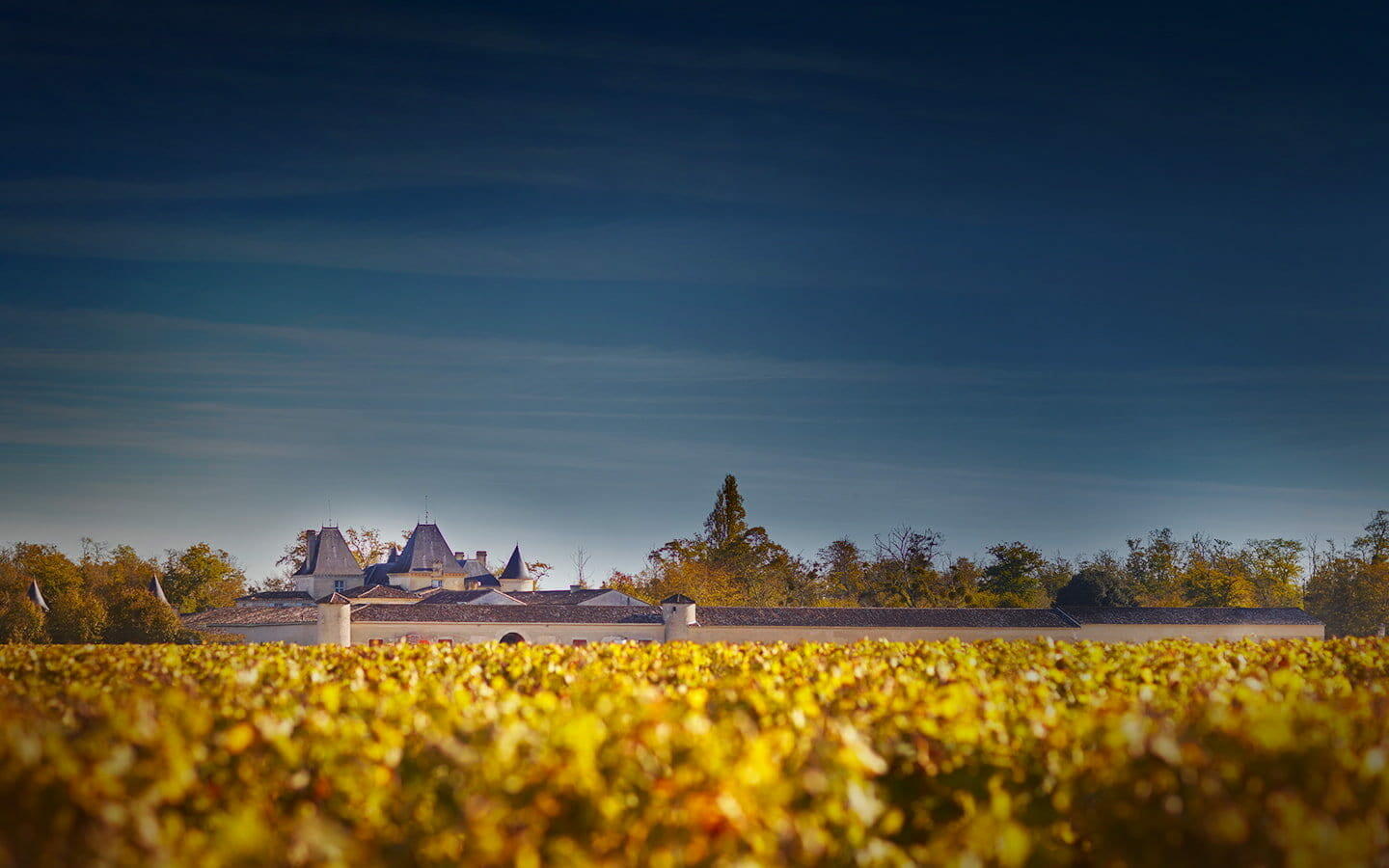 Château Suduiraut Cover Image