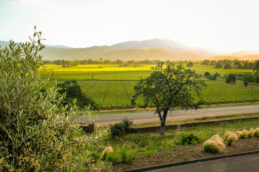 Miner Family Winery Image